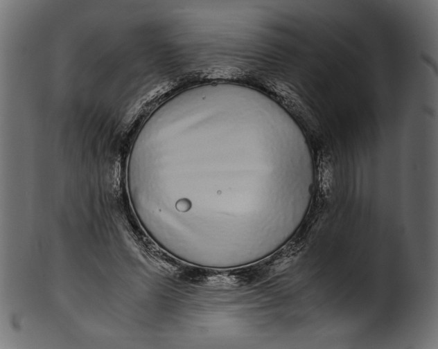 X0000100880591200807181301