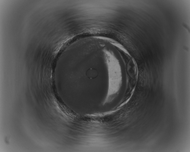 X0000100880592200807181301