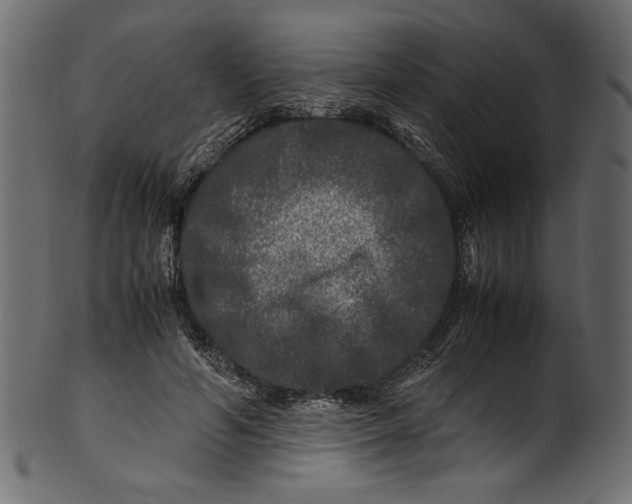 X0000100880594200807181301