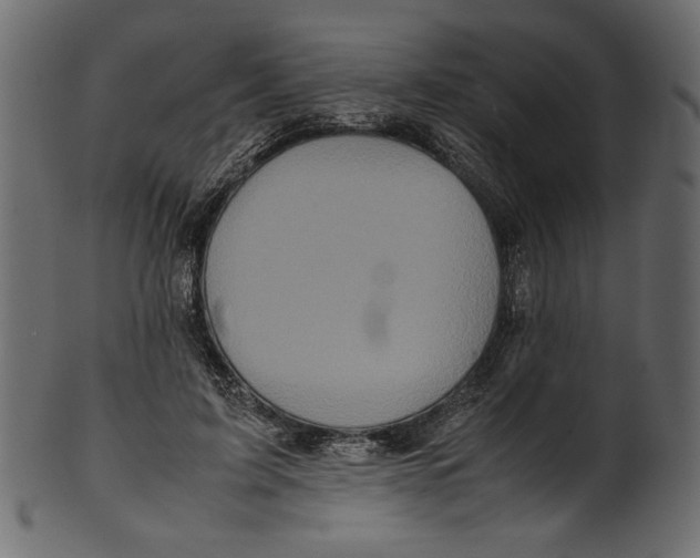 X0000100880595200807181301