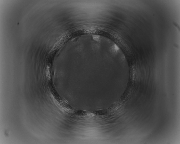 X0000100880598200807181301