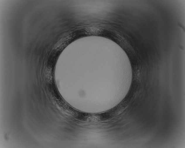 X0000100880599200807181301