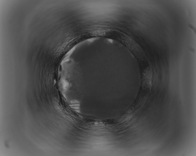 X0000100880600200807181301