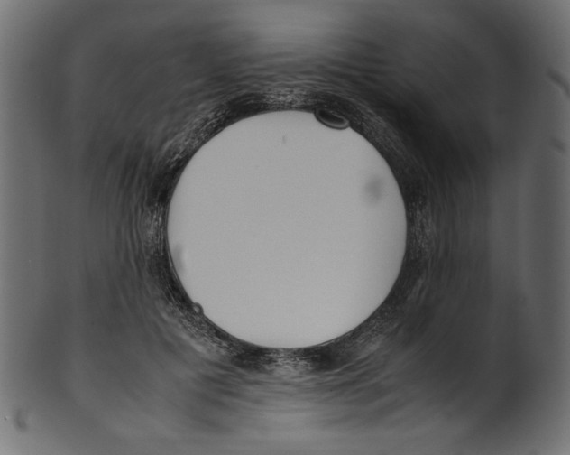 X0000100880601200807181301