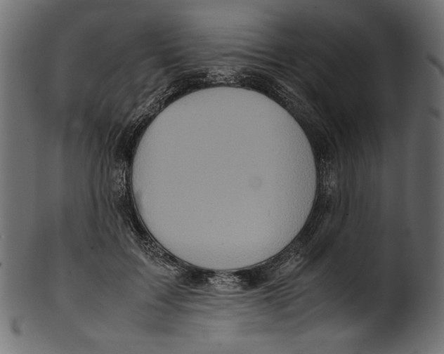 X0000100880603200807181301