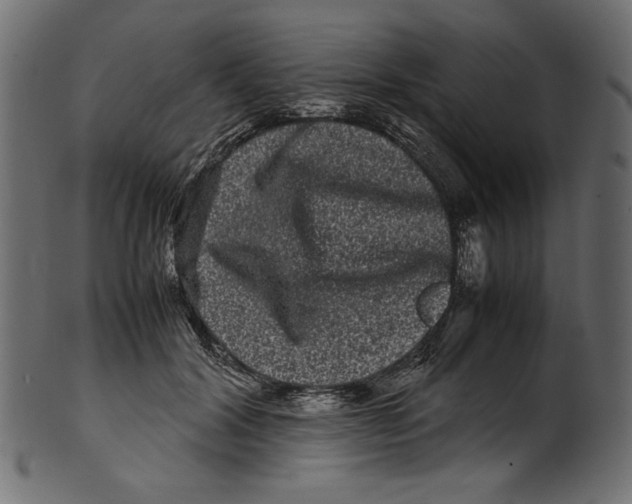 X0000100880604200807181301