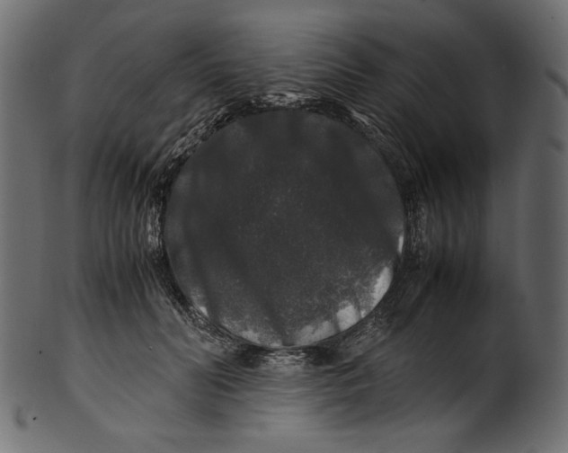 X0000100880606200807181301