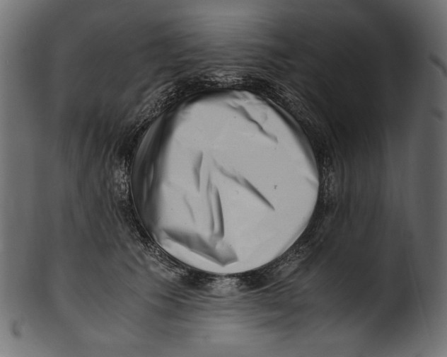 X0000100880609200807181301