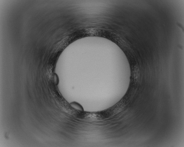 X0000100880611200807181301