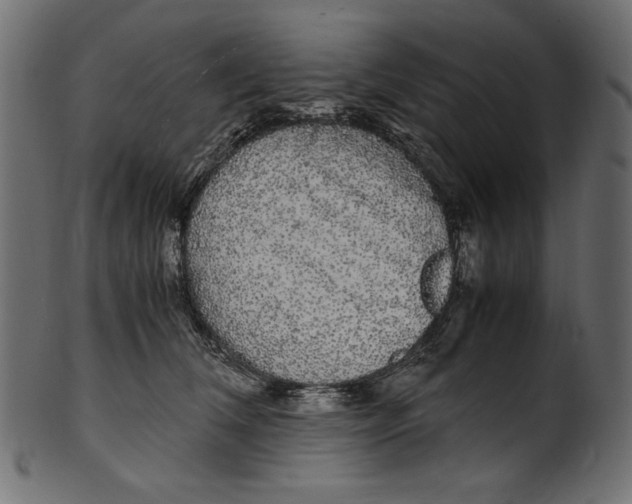 X0000100880612200807181301