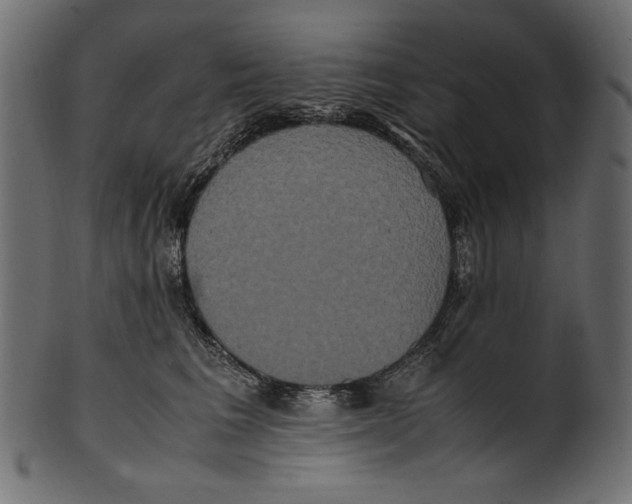 X0000100880613200807181301