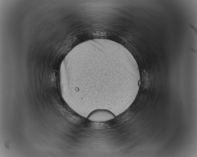 X0000100880614200807181301