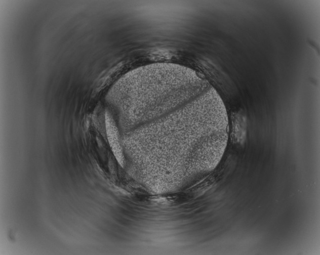 X0000100880616200807181301