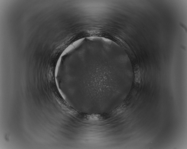 X0000100880618200807181300