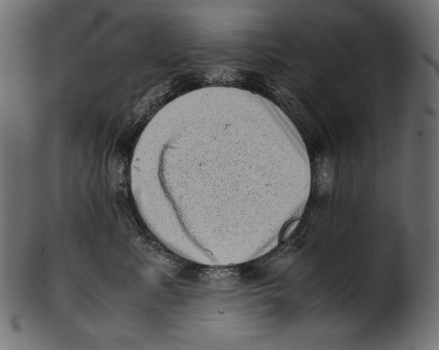 X0000100880619200807181300