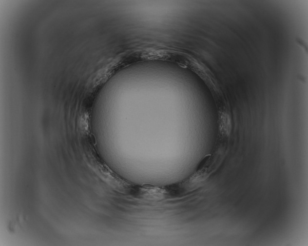 X0000100880621200807181300