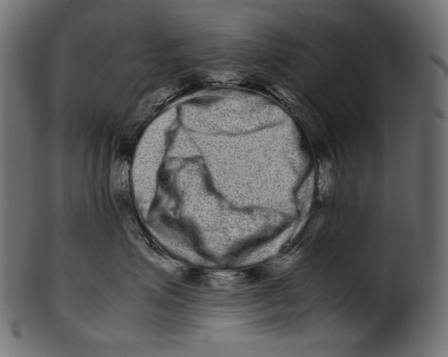 X0000100880623200807181300