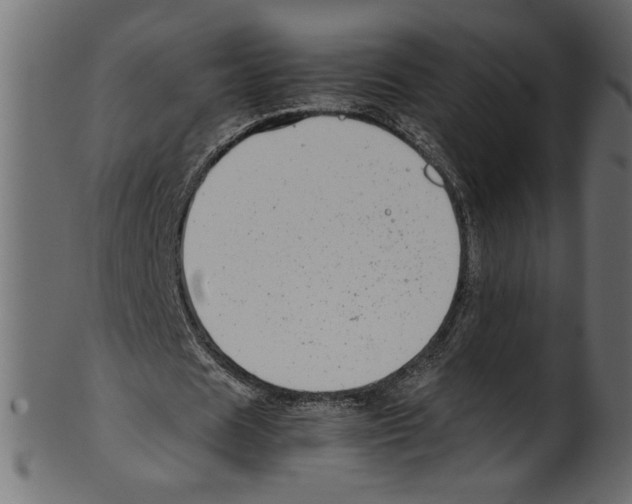 X0000100880625200807181300