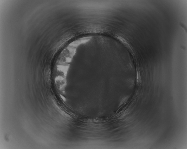 X0000100880627200807181300