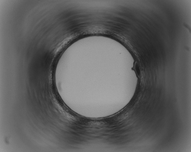 X0000100880629200807181300