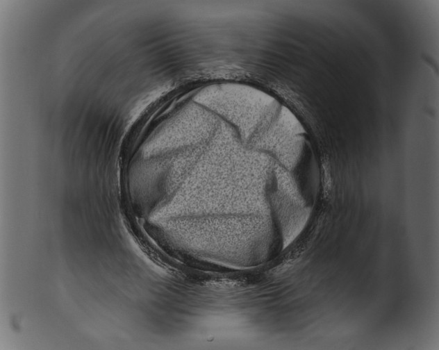 X0000100880630200807181300