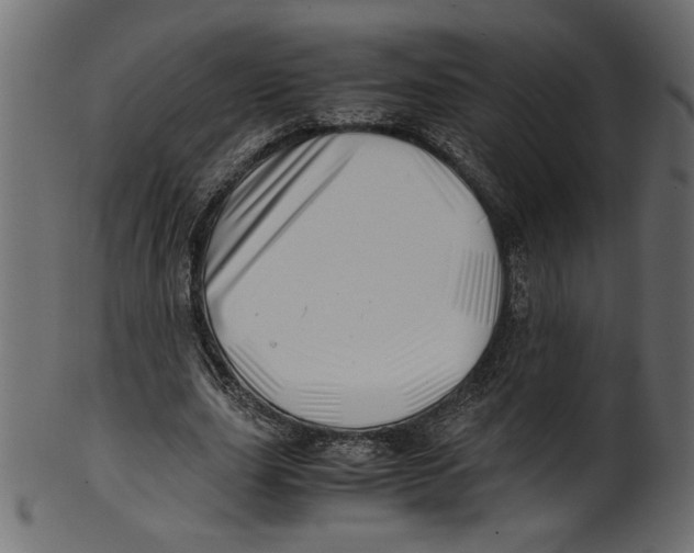 X0000100880631200807181300