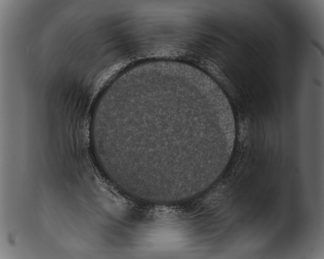 X0000100880632200807181300