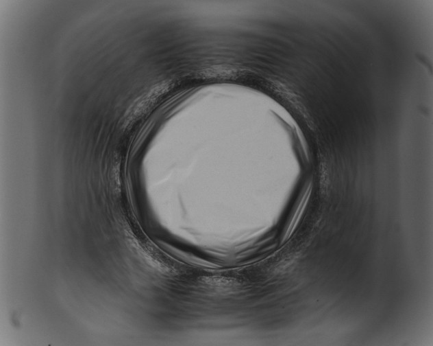 X0000100880633200807181300