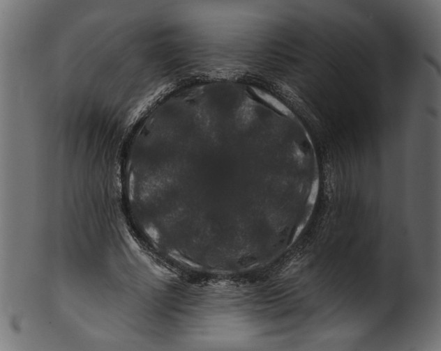 X0000100880634200807181300