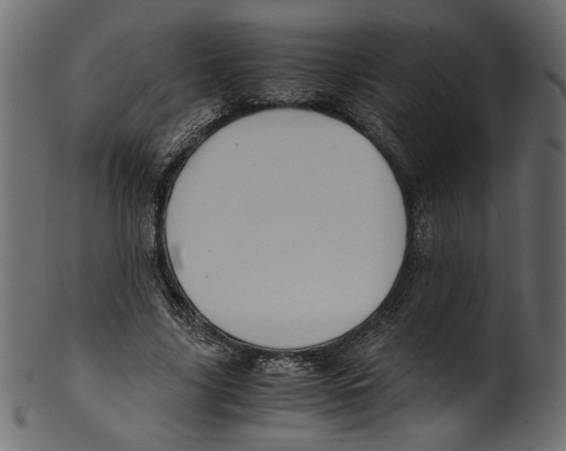 X0000100880635200807181300