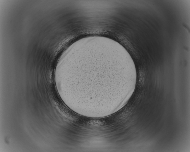 X0000100880636200807181300