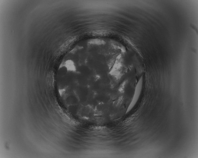 X0000100880637200807181300