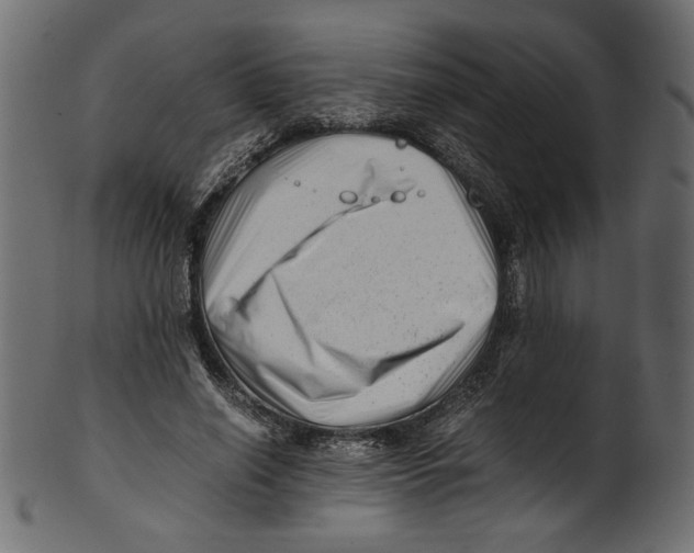 X0000100880638200807181300