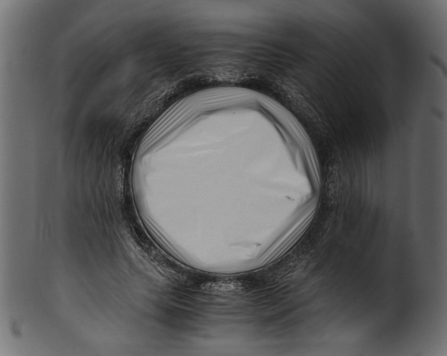 X0000100880639200807181300