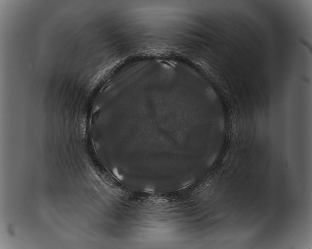 X0000100880640200807181300