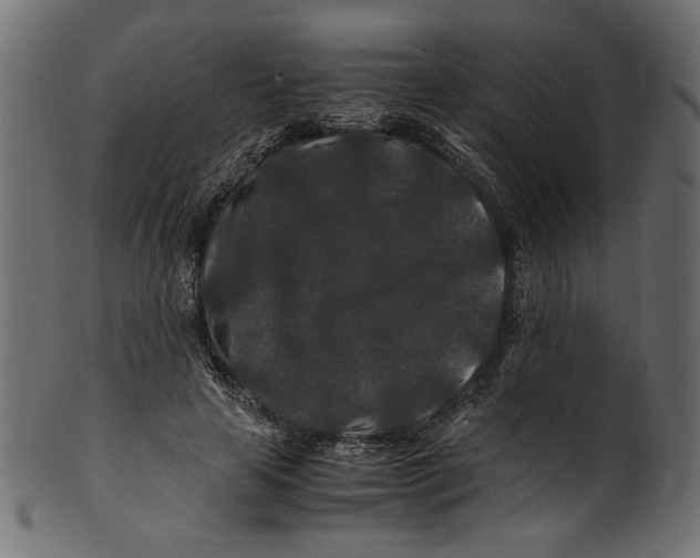 X0000100880641200807181300