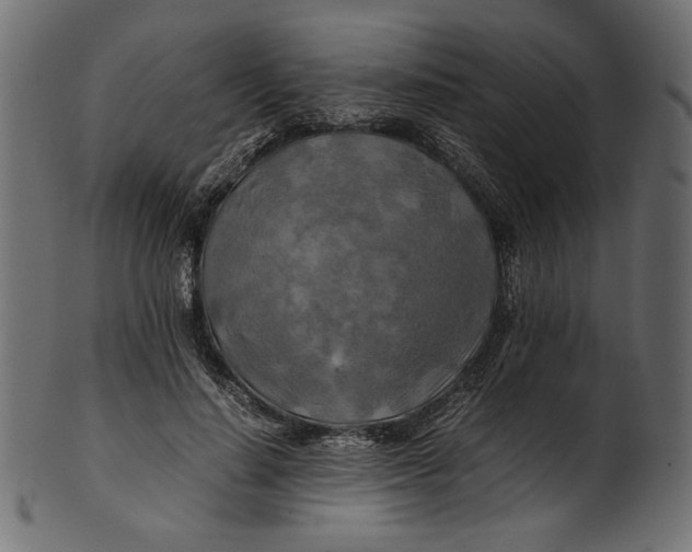 X0000100880644200807181300