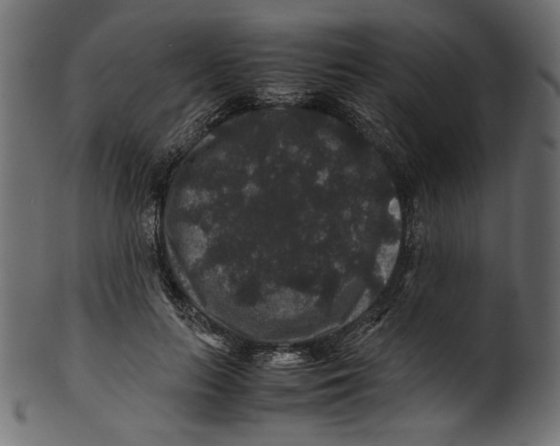 X0000100880647200807181300