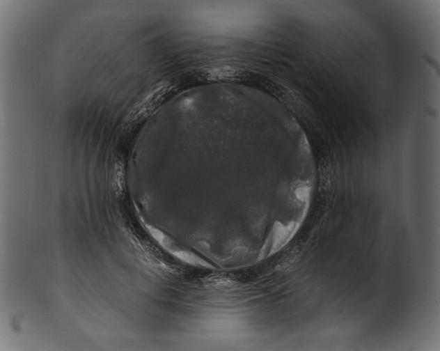 X0000100880648200807181300