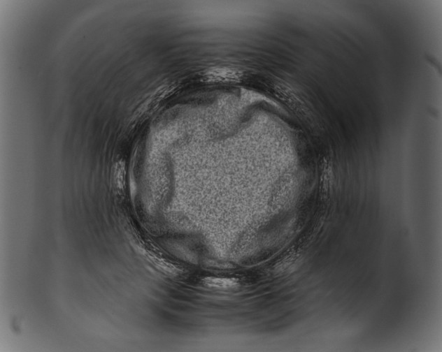 X0000100880649200807181300