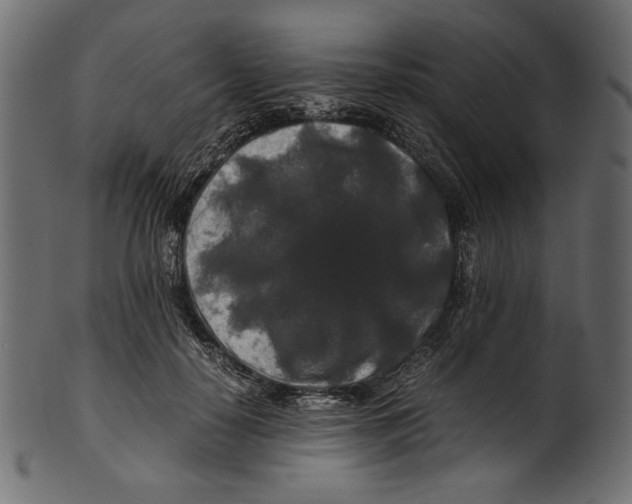 X0000100880650200807181300