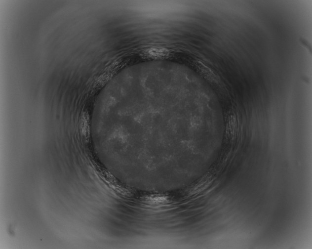 X0000100880651200807181300