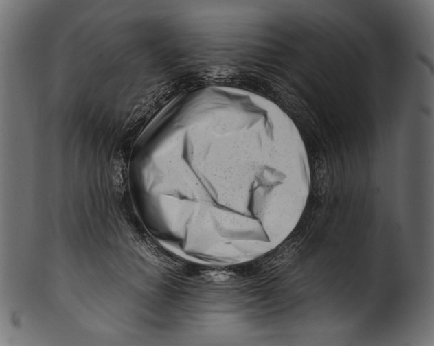 X0000100880654200807181300