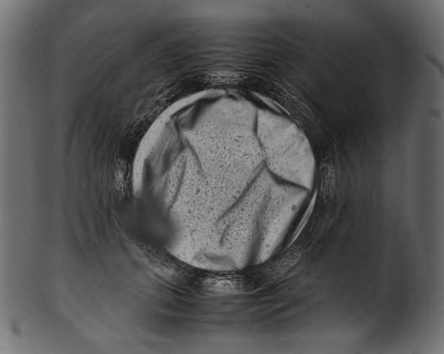 X0000100880655200807181300