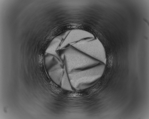 X0000100880657200807181300