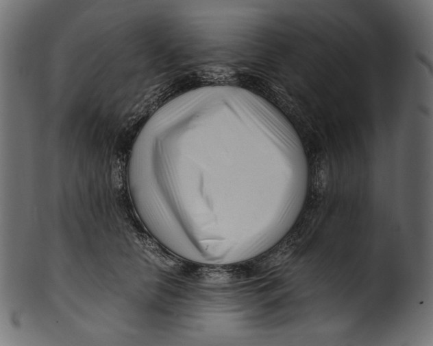 X0000100880658200807181300