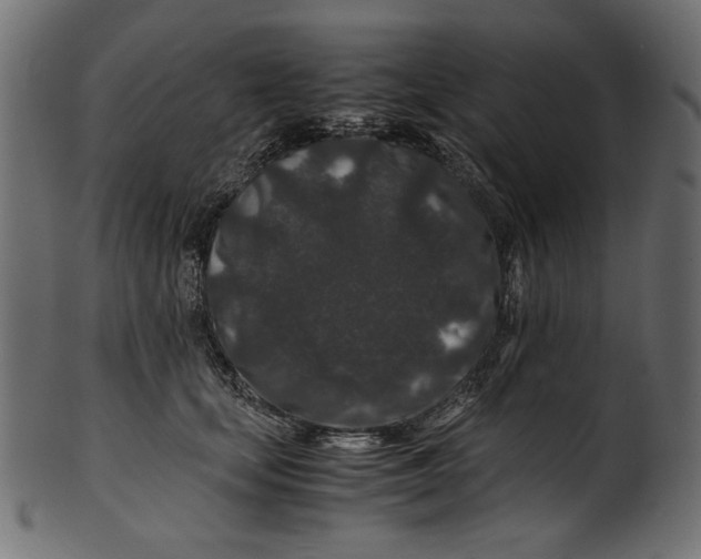 X0000100880659200807181300