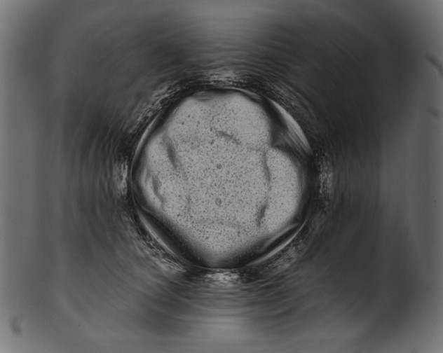 X0000100880660200807181300