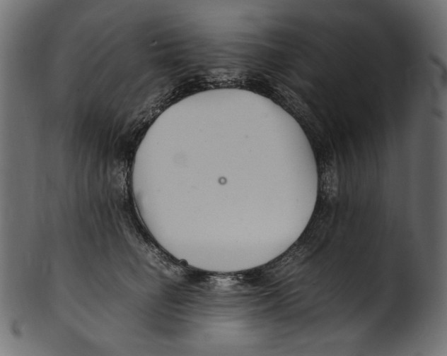 X0000100880662200807181300