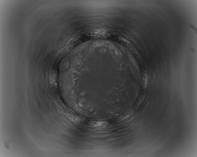 X0000100880663200807181300